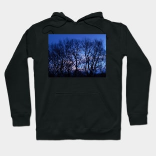 Moonrise Woods Hoodie